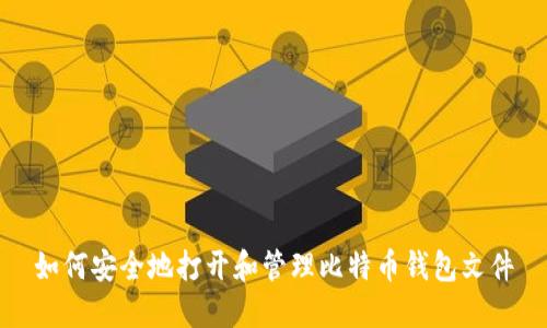 如何安全地打开和管理比特币钱包文件