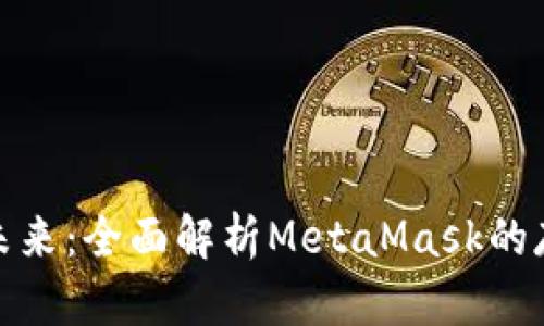 迈向安全与隐私的未来：全面解析MetaMask的存储限制与解决方案