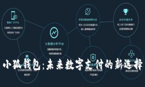 小狐钱包：未来数字支付的新选择