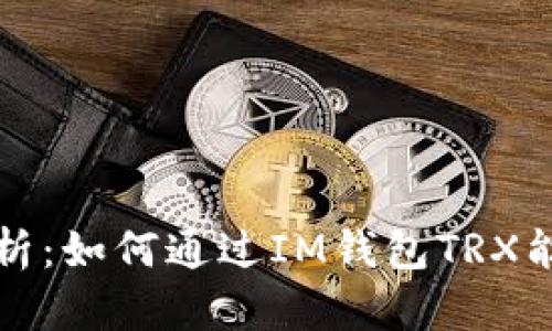 全面解析：如何通过IM钱包TRX能量管理