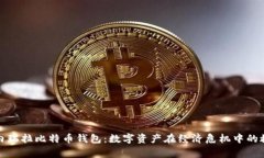 探索委内瑞拉比特币钱包：数字资产在经济危机