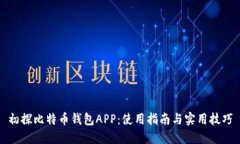 初探比特币钱包APP：使用指南与实用技巧