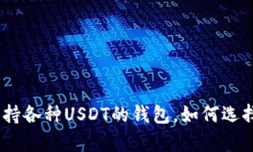  全面解析：支持各种USDT的钱包，如何选择最适合你的？