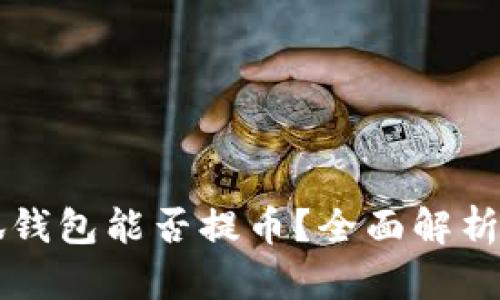 中本聪小狐钱包能否提币？全面解析与使用指南