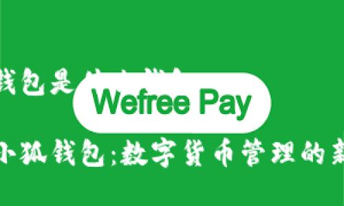 小狐钱包是什么钱包

揭秘小狐钱包：数字货币管理的新选择