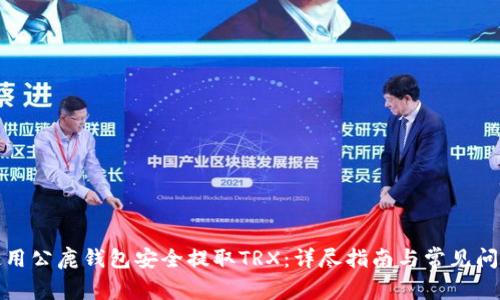 如何使用公鹿钱包安全提取TRX：详尽指南与常见问题解答