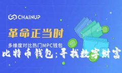 : 遗失的比特币钱包：寻找