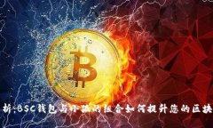深度解析：BSC钱包与小狐
