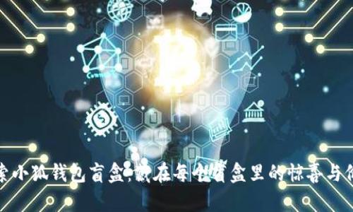 探索小狐钱包盲盒：藏在每个盲盒里的惊喜与价值