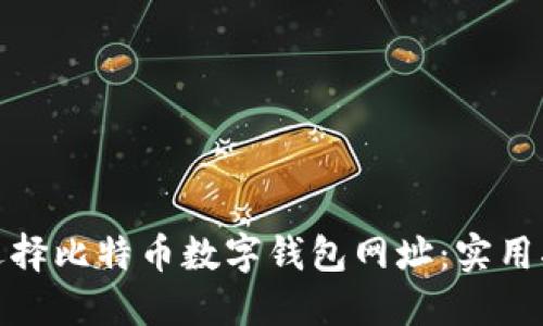 如何安全选择比特币数字钱包网址：实用指南与建议