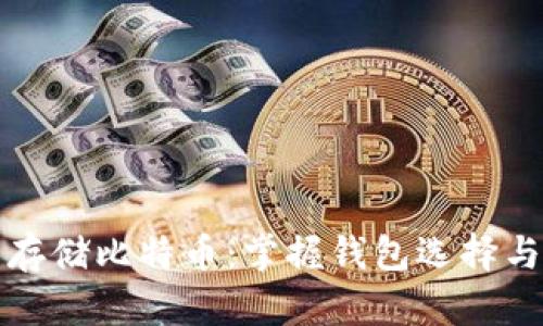 如何安全存储比特币：掌握钱包选择与管理技巧