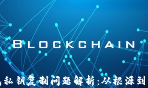 
小狐钱包私钥复制问题解析：从根源到解决方案