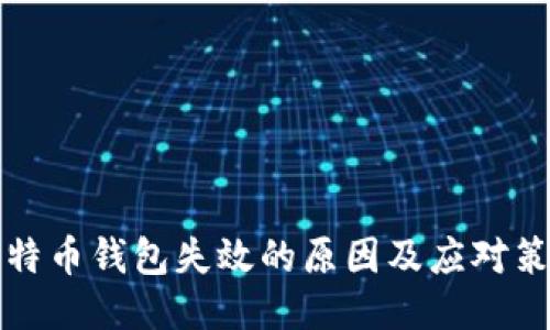 比特币钱包失效的原因及应对策略