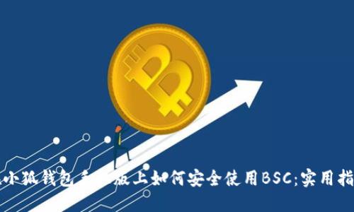 在小狐钱包手机版上如何安全使用BSC：实用指南