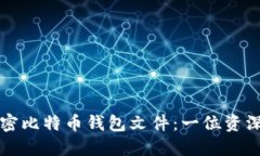 如何安全高效地解密比特