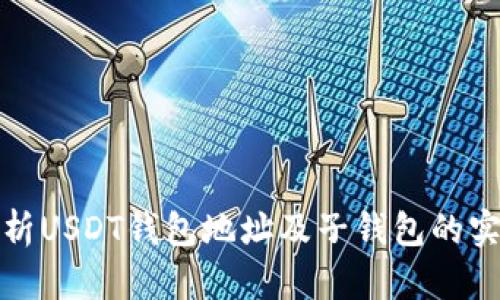 全面解析USDT钱包地址及子钱包的实用价值