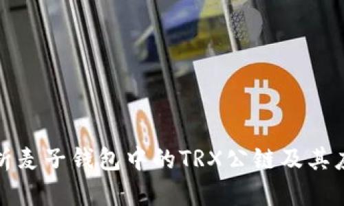 深入解析麦子钱包中的TRX公链及其应用价值