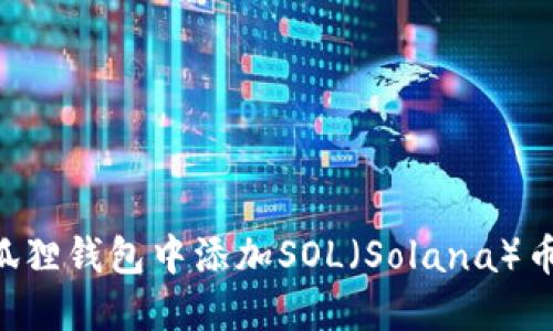 如何在小狐狸钱包中添加SOL（Solana）币：实用指南