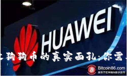 小狐钱包接收狗狗币的真实面孔：你需要知道的一切