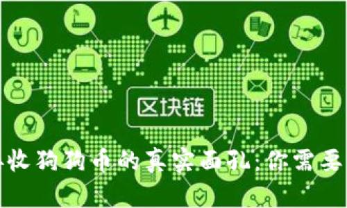 小狐钱包接收狗狗币的真实面孔：你需要知道的一切