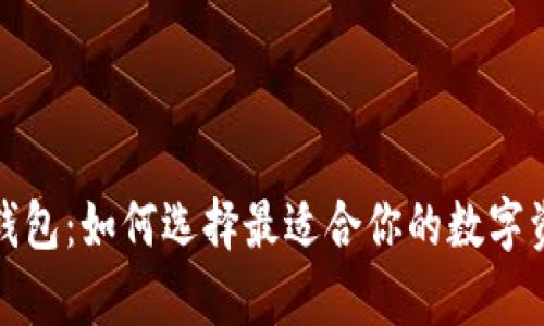 揭秘比特币钱包：如何选择最适合你的数字资产存储方案