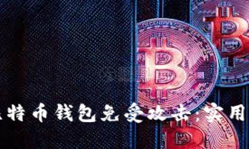 如何保护你的比特币钱包免受攻击：实用技巧与经验分享
