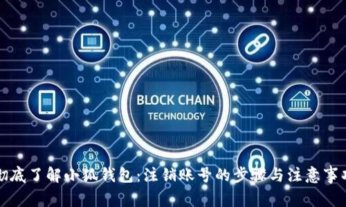 彻底了解小狐钱包：注销账号的步骤与注意事项