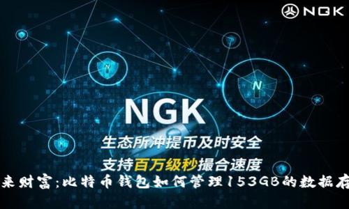掌握未来财富：比特币钱包如何管理153GB的数据存储需求