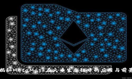 揭秘MetaMask在火币生态链中的应用与前景
