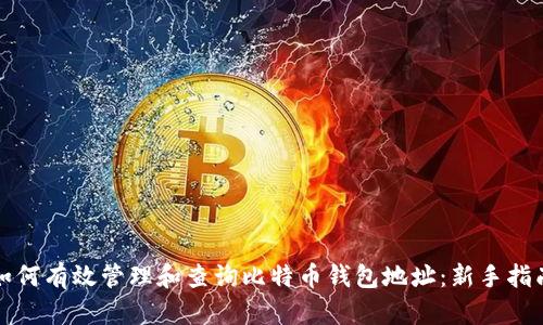如何有效管理和查询比特币钱包地址：新手指南