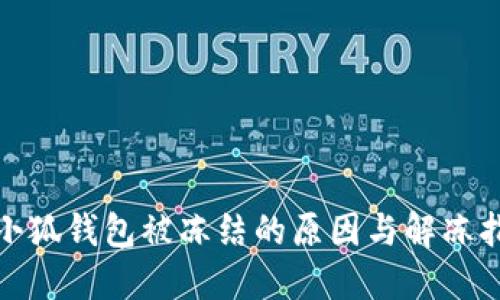 : 小狐钱包被冻结的原因与解冻指南