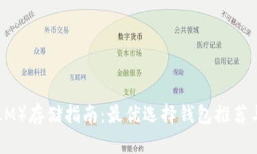 恒星币（XLM）存储指南：最优选择钱包推荐与使用详解