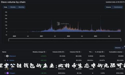 探索公链钱包的未来：比特币生态中的无限可能