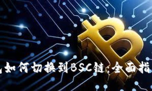 小狐钱包如何切换到BSC链：全面指南与技巧