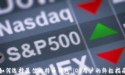 
如何选择最佳比特币钱包：iOS用户的终极指南