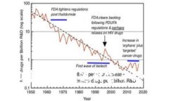 金狐狸的100多钱包：塑造