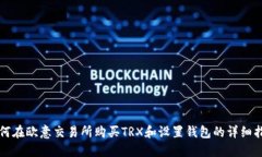 如何在欧意交易所购买T