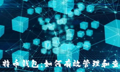   
深入了解比特币钱包：如何有效管理和查询交易记录