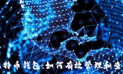   
深入了解比特币钱包：如何有效管理和查询交易记录