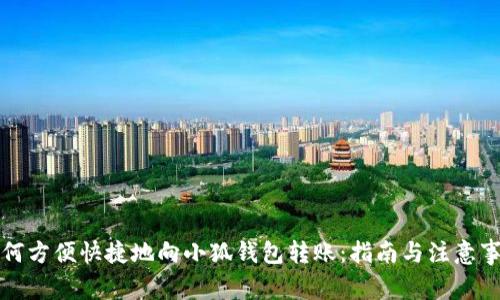 如何方便快捷地向小狐钱包转账：指南与注意事项